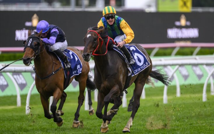 足球并不是 足球并不是